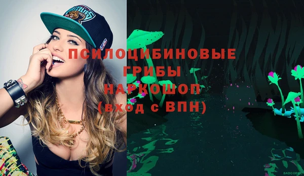герыч Козловка